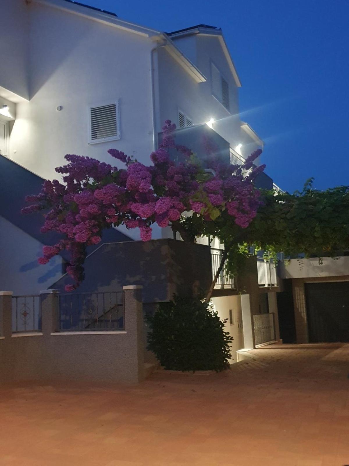 Apartment Bozovic أوروبيتش المظهر الخارجي الصورة